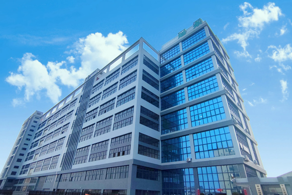 Lịch Sử anke năm 2024